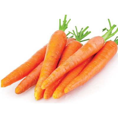 Морковь молодая 1 кг - купить в Песчанке